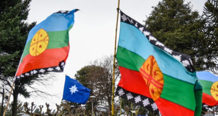Banderas mapuche por consulta indígena en región de Los Ríos