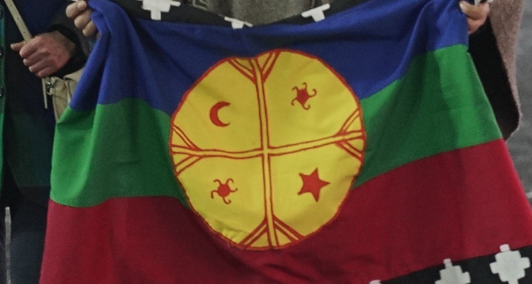 Bandera mapuche por consulta indígena en Macrozona Sur