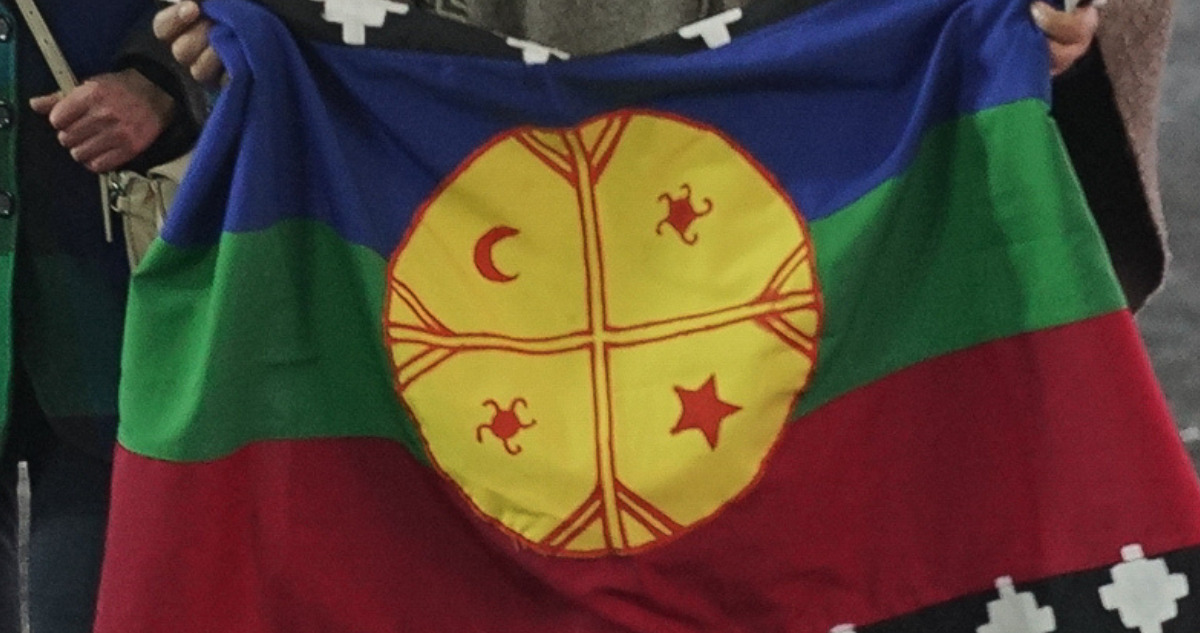 Bandera mapuche por consulta indígena en Macrozona Sur