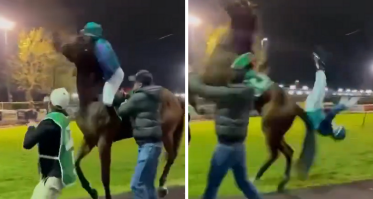 Impactante cabezazo de caballo a jinete en Australia: jockey reveló secuelas tras quedar inconsciente