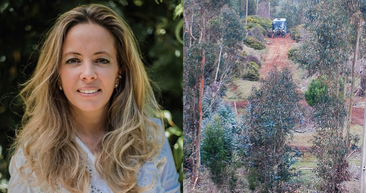 Candidata a senadora y hermana de Kaiser apunta a presencia de “ejércitos irregulares” en La Araucanía