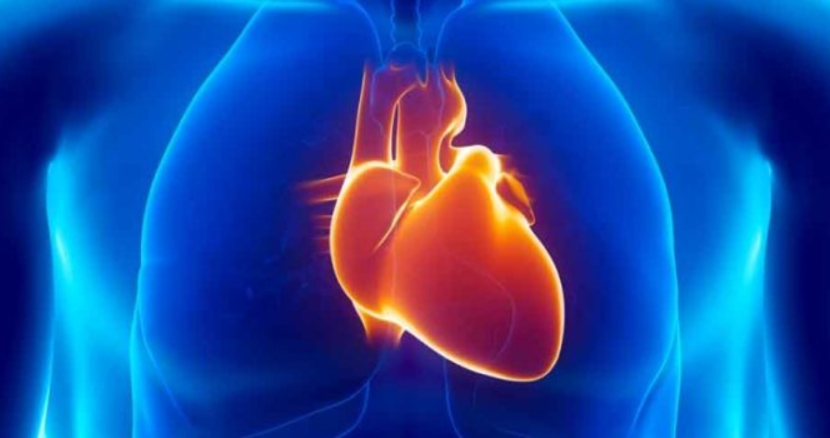 Qué es la muerte súbita recuperada, la complicación que sufrió Patricio Toledo y por qué ocurre