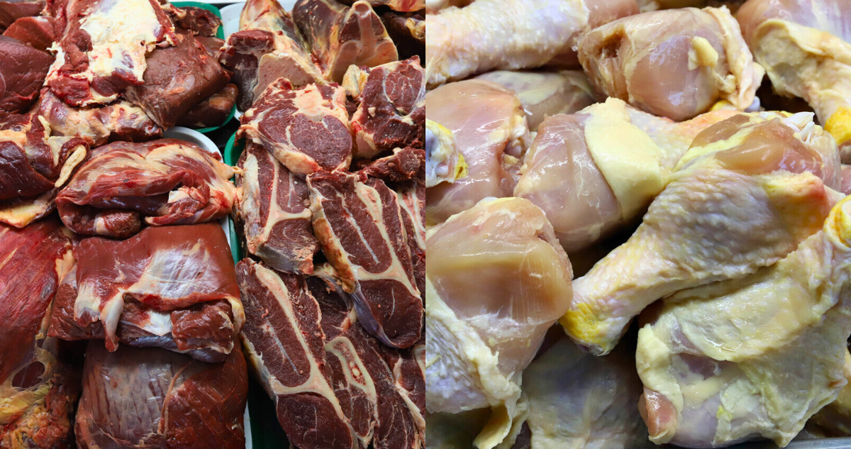 Carnes