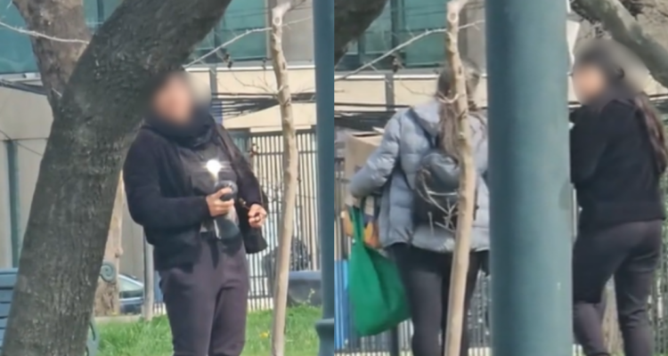 Captan insólita caza de palomas en Providencia: rescatista de aves especula sobre venta a restaurante