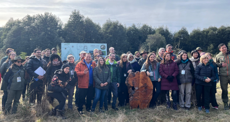 Parte construcción de centro de rescate de fauna silvestre en zona precordillerana de Los Ríos