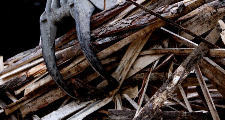 Cierre de aserraderos en Bío Bío