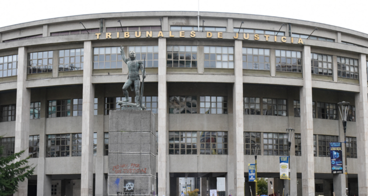 Concepción: Corte anula multa a joven con discapacidad severa que no votó en plebiscito constitucional