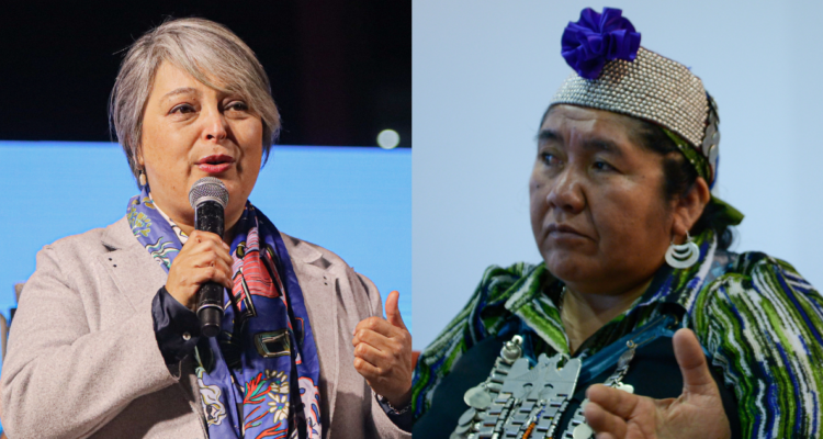 Consejera nacional mapuche ante Conadi arremetió contra Jara por no acceder a reunión con dirigentes