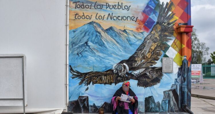 Gobierno descarta suspender consulta indígena en La Araucanía a pesar de las manifestaciones