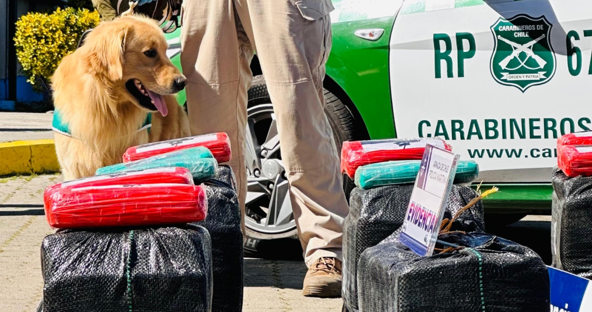 detectan contenedor con creepy en Puerto San Antonio