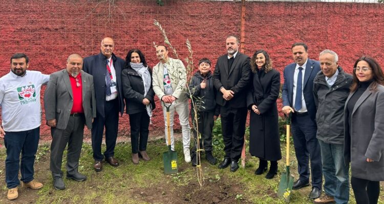 Un Árbol por Palestina, Derechos Humanos Sin Fronteras