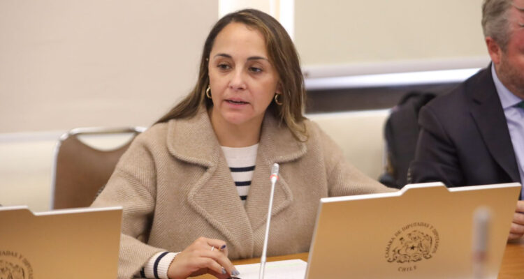 Diputada Carla Morales (RN) denuncia creación de perfiles falsos en redes sociales