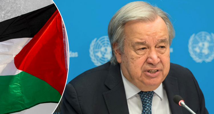 Diez nuevos países con asiento en la ONU reconocen el Estado de Palestina