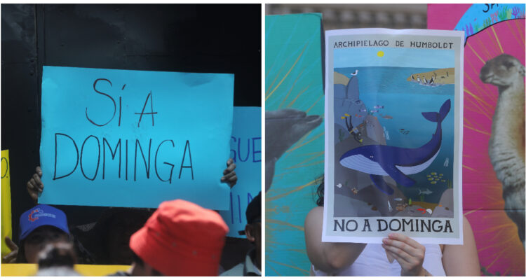 Pelea por proyecto minero-portuario Dominga no claudica y emplazan a Gobierno de no imponer ideologías