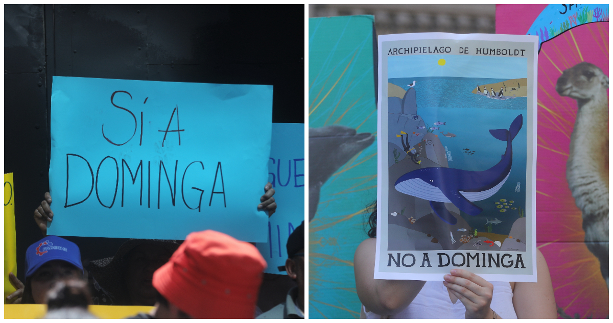 Pelea por proyecto minero-portuario Dominga no claudica y emplazan a Gobierno de no imponer ideologías