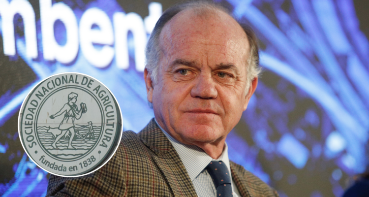 Empresarios agrícolas piden visa de trabajo para tener más mano de obra migrante