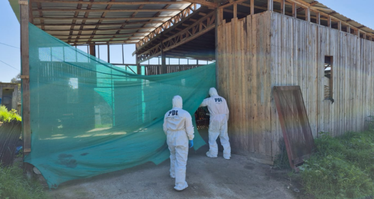 Personal de PDI realiza diligencia en el galpón donde fue encontrado el cuerpo.