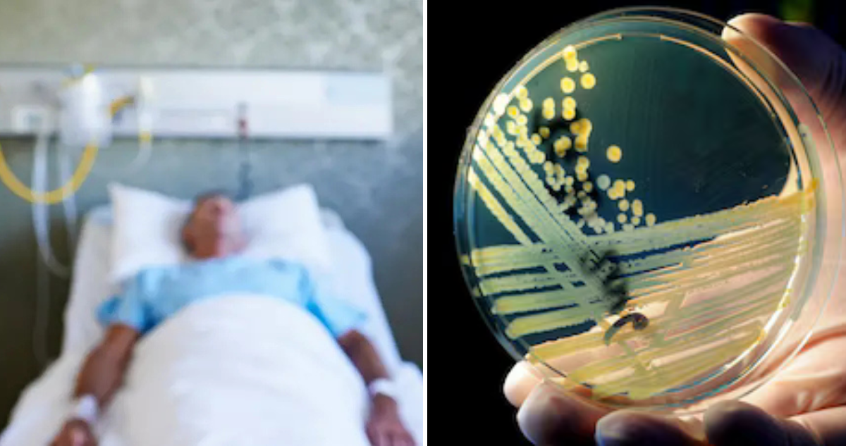 Bacterias resistentes a antibióticos