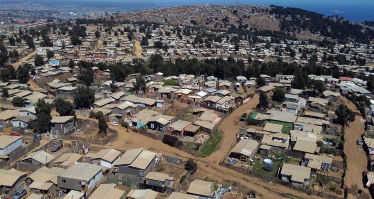 Megatoma San Antonio