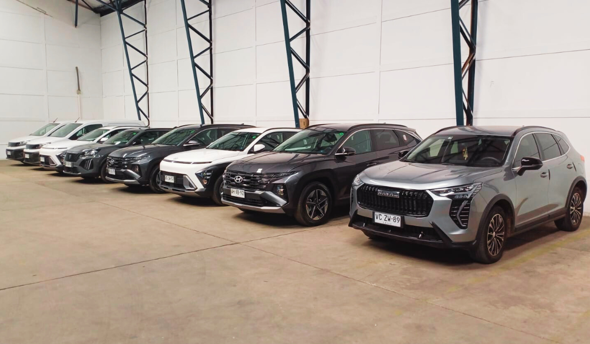 Flota de vehículos Avis