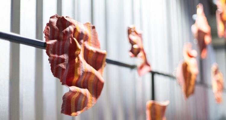 Fragmentos del Sonido a la materia de Ignacio San Martín Godoy, foto de @catasilvazanetti