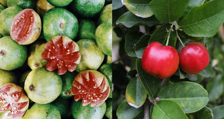 7 frutas que tienen más vitamina C que la naranja