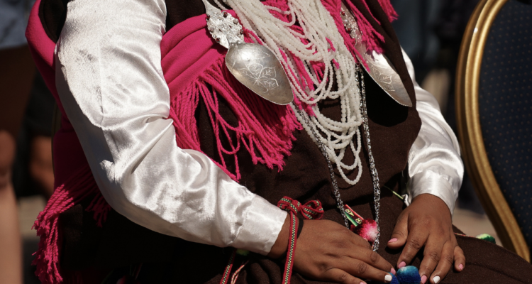 Gobierno afirma que Consulta Indígena avanza con normalidad a pesar de su rechazo en el Alto Bío Bío