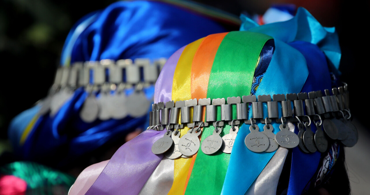 Gobierno confirma suspensión de Consulta Indígena por nuevo sistema de tierras en la Macrozona Sur