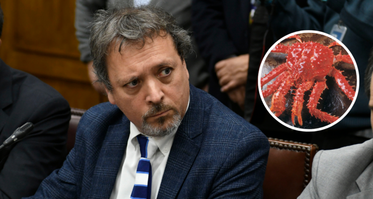 Gobierno fustiga presunta colusión de la centolla en Magallanes y cifra en 2000 las familias afectadas