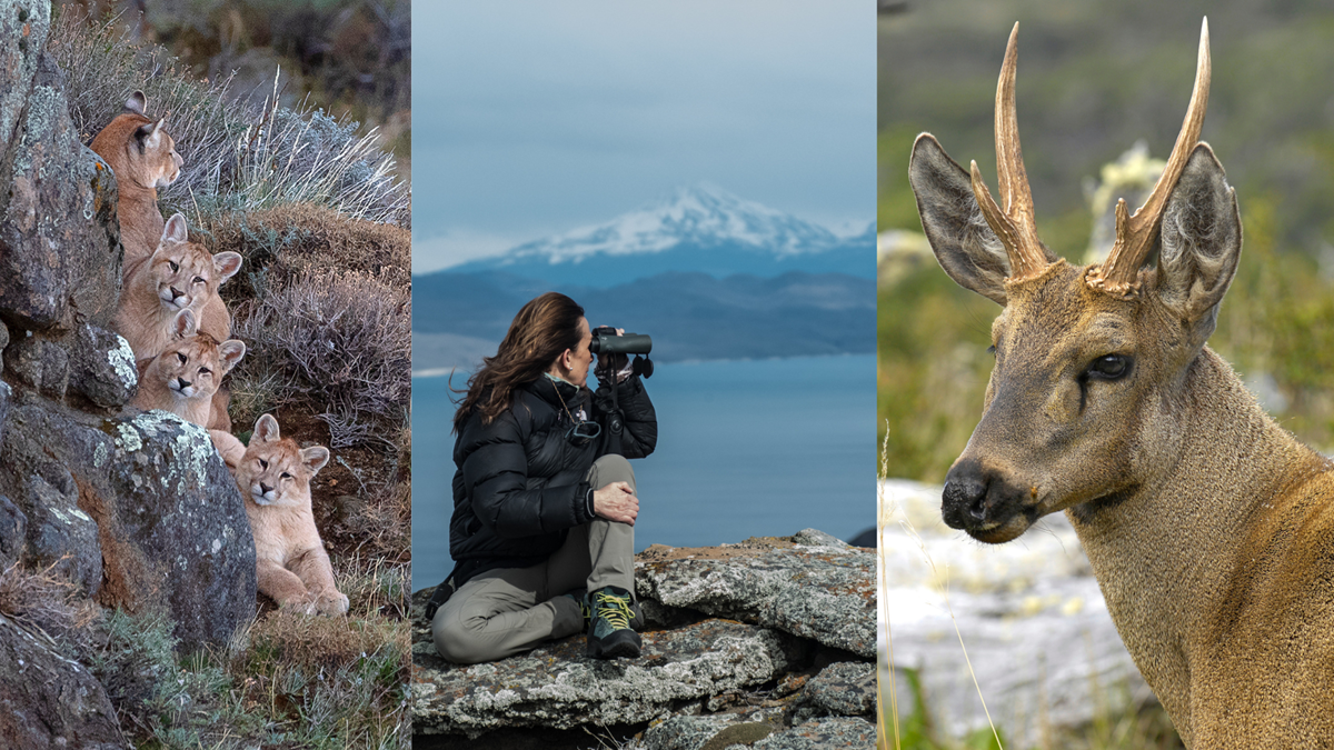Fundación Cerro Guido es clave para Ultra Paine.