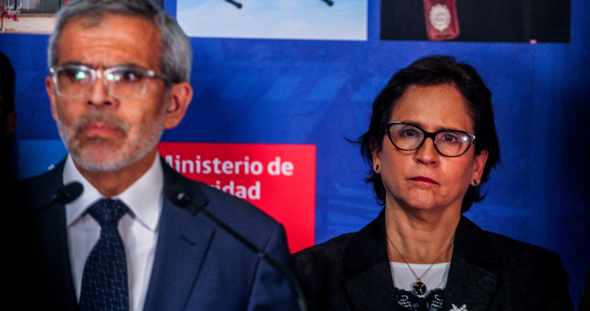 Hackeo en Prevención del Delito: diputados evalúan citar a subsecretaria Leitao por ataque informático