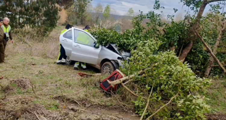Hombre muere tras chocar su vehículo contra un árbol en sector rural de La Unión