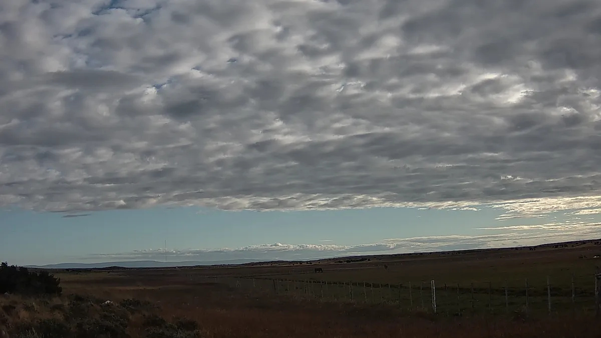 Rodrigo Bravo | UMAG