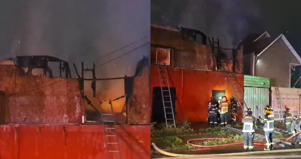 Incendio deja al descubierto cultivo de marihuana en San Ramón: buscan a dueño de indoor