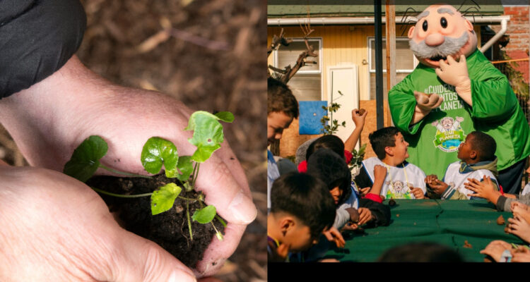 Iniciativa busca reforestar la región Metropolitana: realizan talleres gratuitos de bombas de semillas
