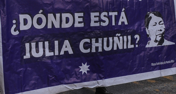 Caso Julia Chuñil: director de INDH dice que hay diligencias que “generan tensiones” con comunidades