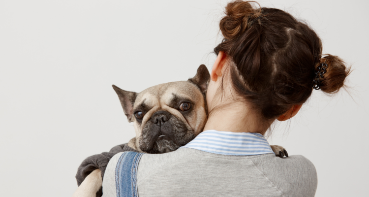 Cuidado con tu mascota en Fiestas Patrias: experto entrega opciones seguras y detalla qué debes evitar