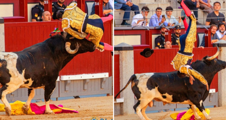 Corneada a Serafín Marín