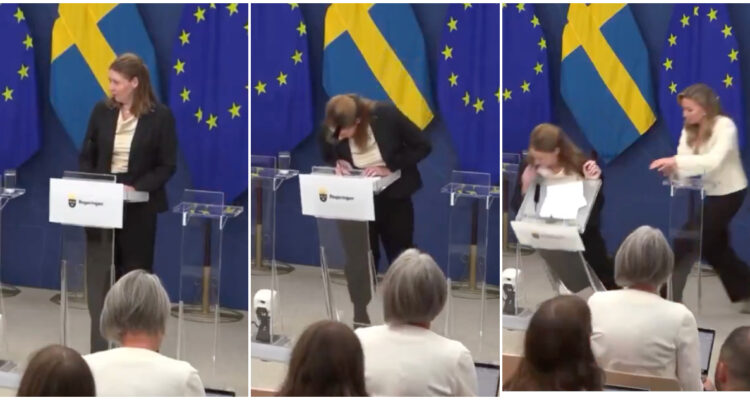 Ministra de Salud sueca sufre estrepitoso desmayo mientras asumía su cargo