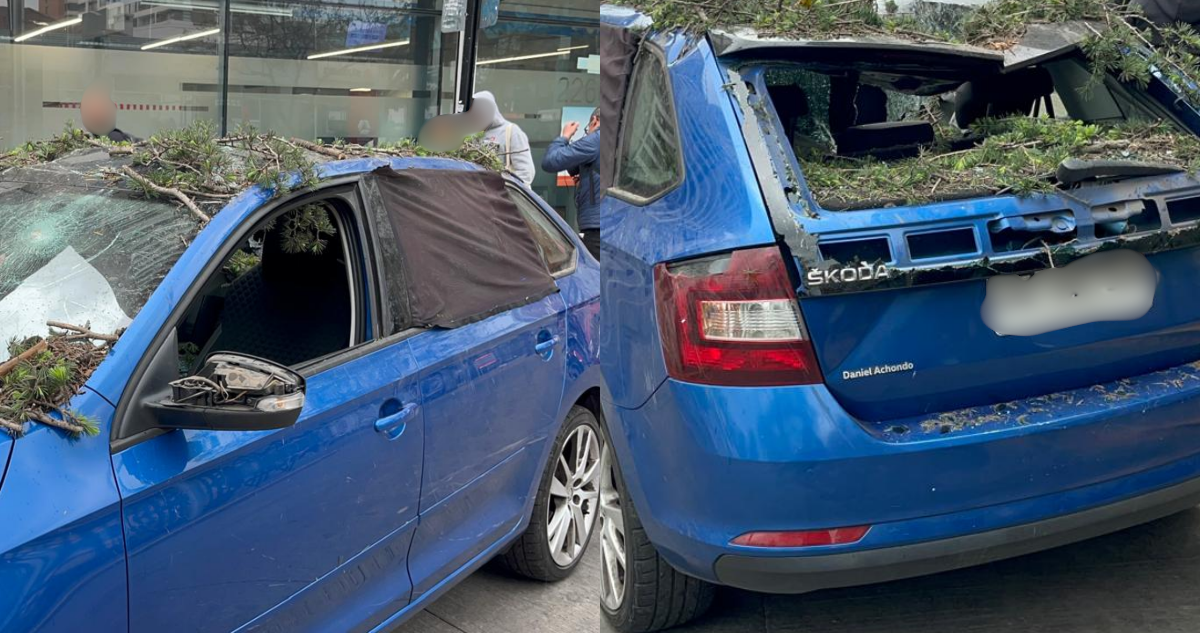 Niña de un año salvó de milagro: recién se había bajado de auto dañado por árbol en Ñuñoa