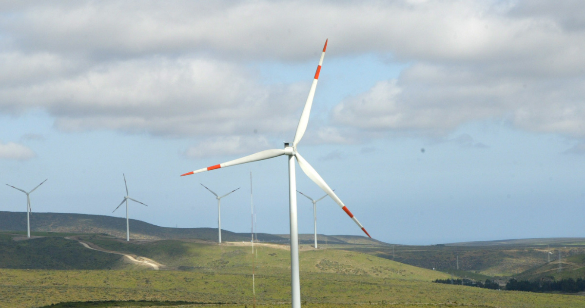 Comisión de Evaluación Ambiental aprueba proyecto de parque eólico entre Paillaco y La Unión
