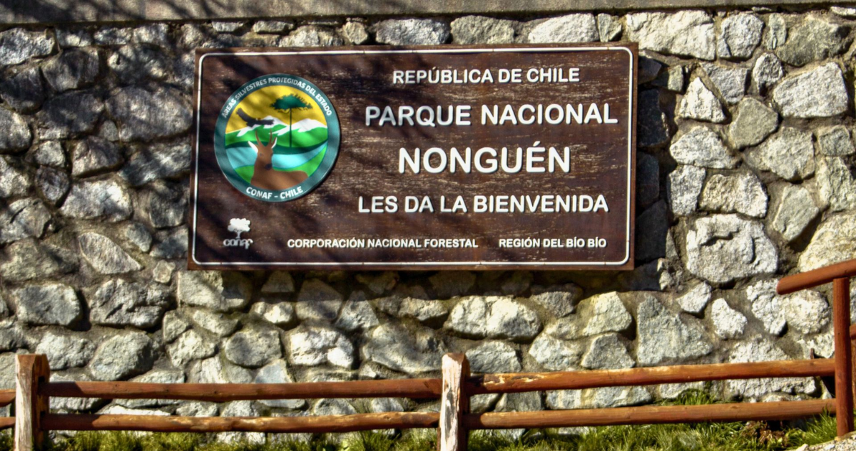 Parque Nacional Nonguén cerrará sus puertas por una semana: se instalarán cámaras trampas