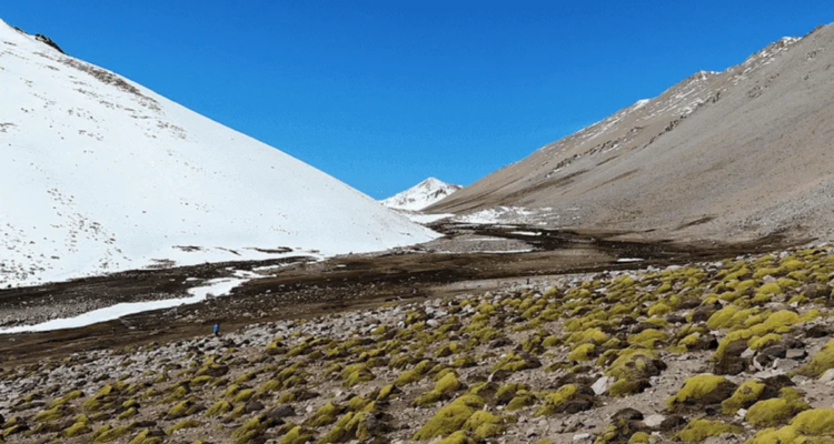 Por omisión del MMA: anulan resolución que declaró Santuario de la Naturaleza al río Sasso en Coquimbo