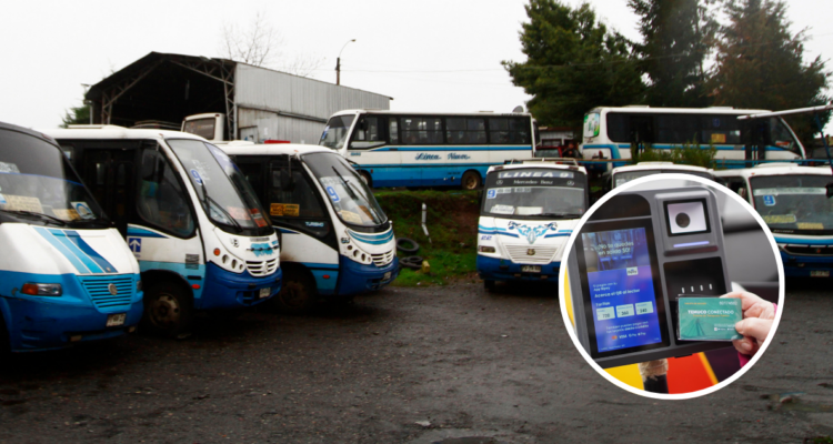 Previo al fin del efectivo: 8 líneas de micros de Temuco y Padre Las Casas buscan contar con contrato