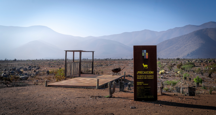 Proyecto Dominga y la desinformación sin control de Andes Iron