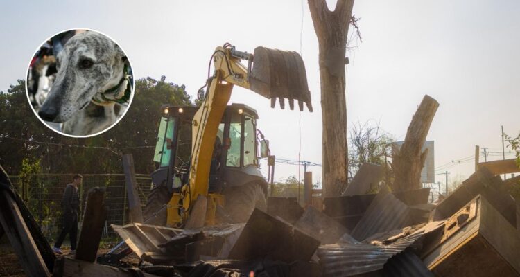 Municipalidad de Peñalolén