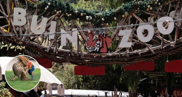 KARIN POZO/AGENCIAUNO