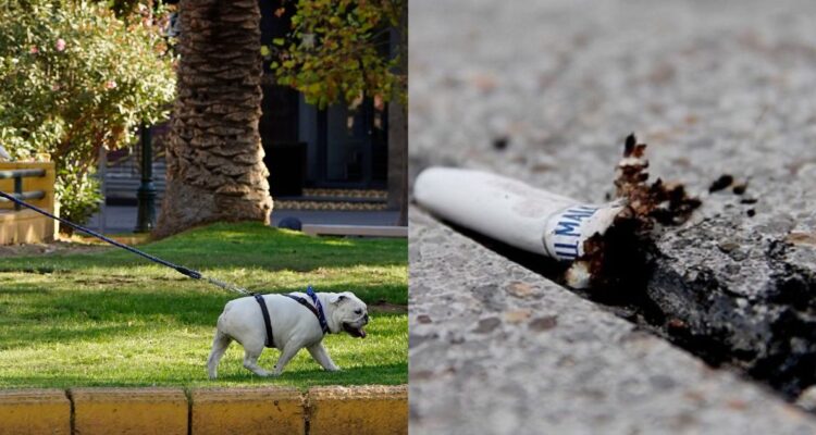 Contexto | Agencia Uno