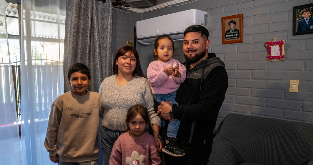 recambio-estufa-buin