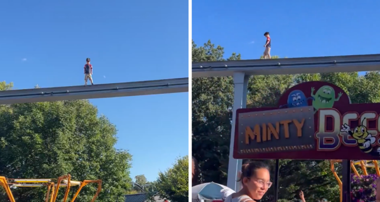 Rescatan a niño que caminaba sobre rieles de una montaña rusa en EEUU: multitud intentaba ayudarlo